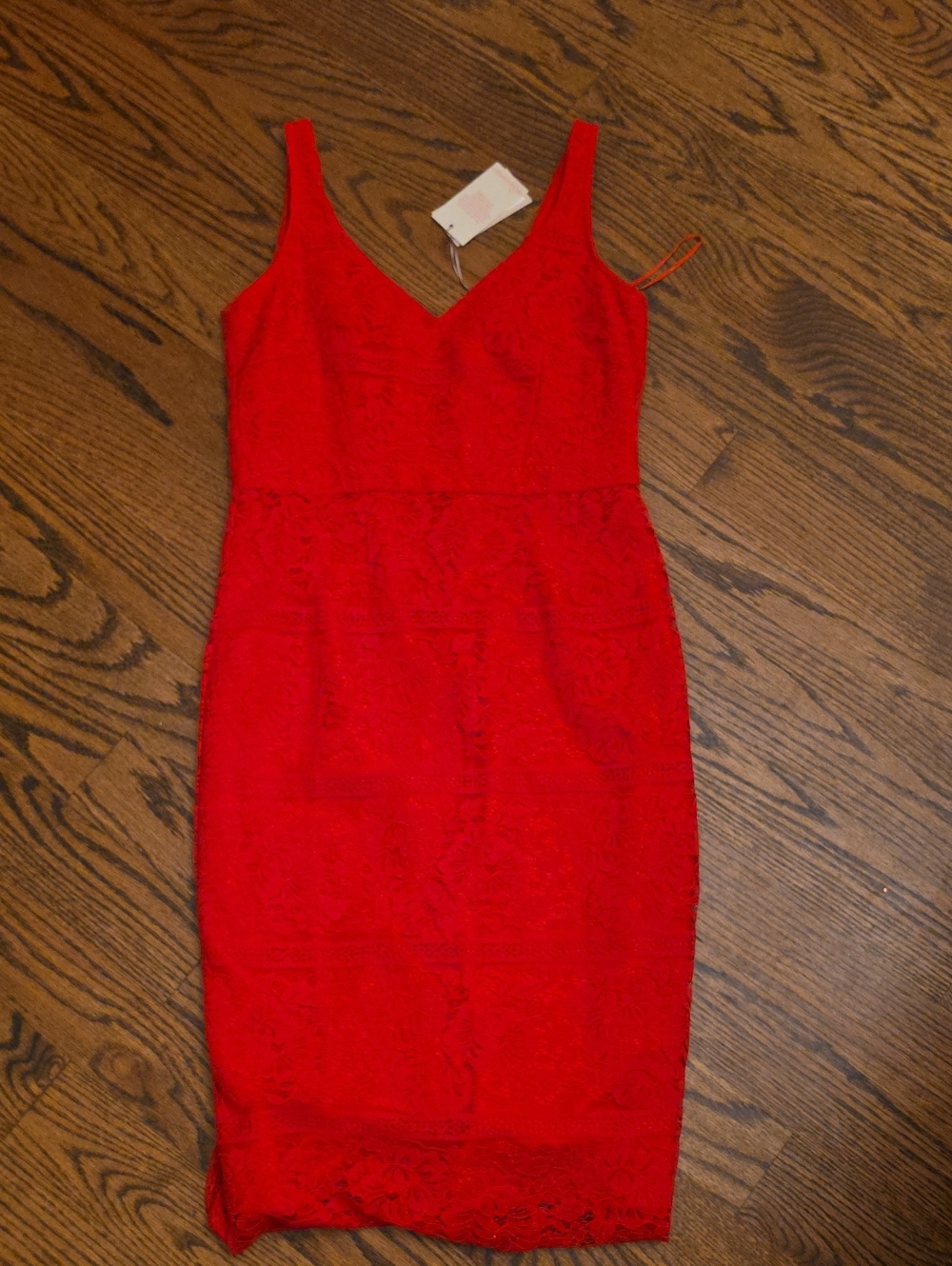 NWT Bravissimo Red Lace V-Neck Sheath Dress